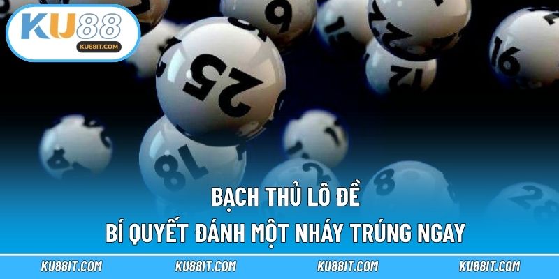 Bạch thủ lô đề