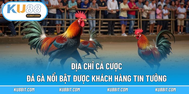 Địa chỉ cá cược đá gà nổi bật được khách hàng tin tưởng