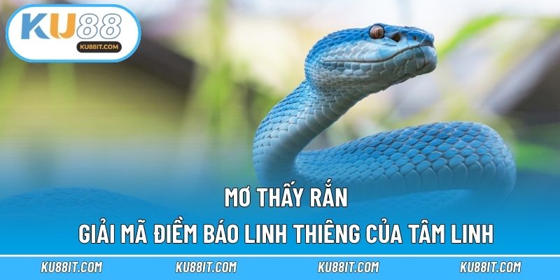 Mơ thấy rắn