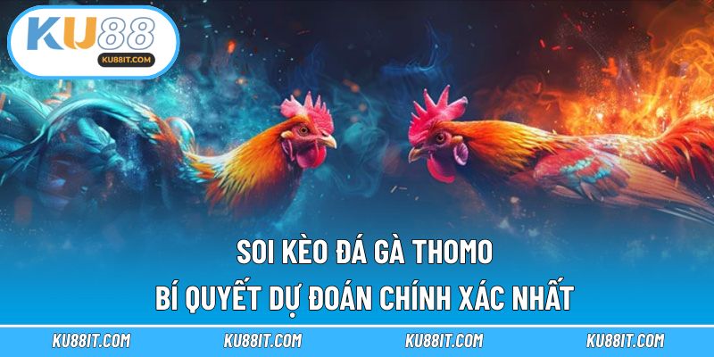 Soi kèo đá gà Thomo